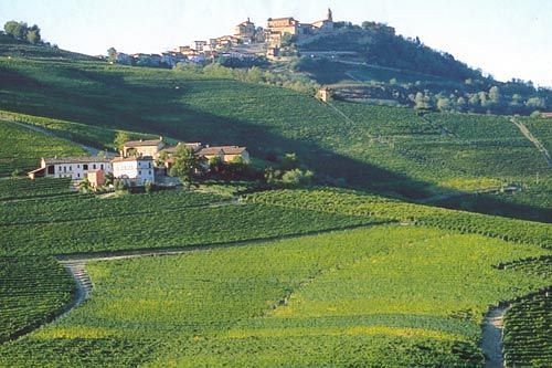Cascina Rocca - Guest House Castiglione Falletto Zewnętrze zdjęcie